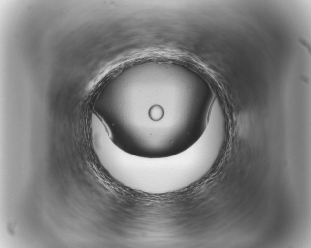 X0000101441496200807281011