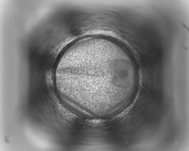 X0000101441497200807281011