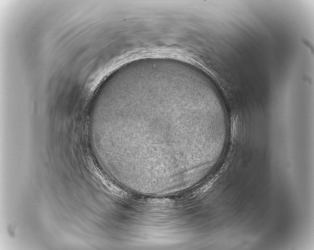 X0000101441498200807281011