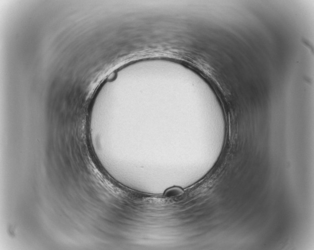 X0000101441500200807281011