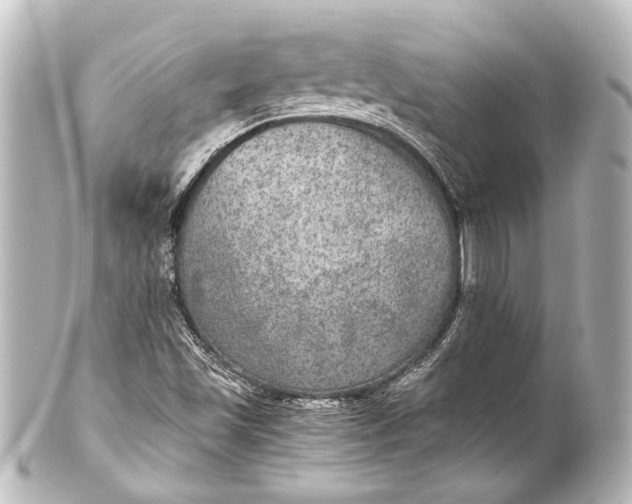 X0000101441501200807281011