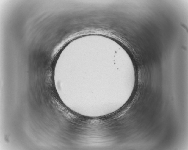 X0000101441502200807281011