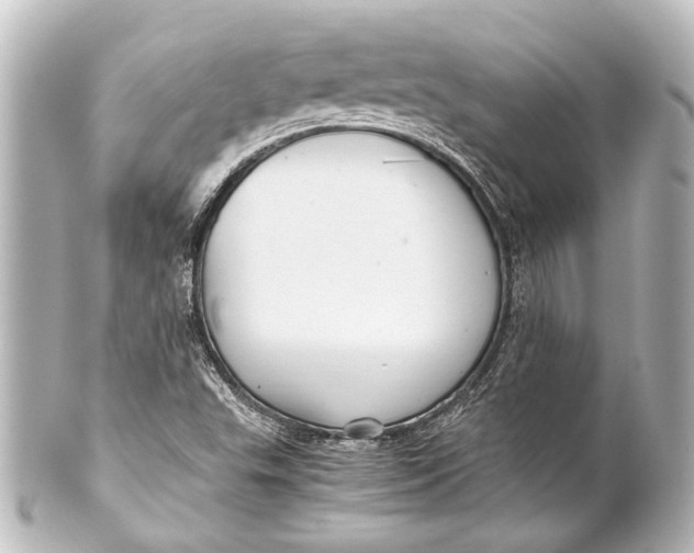 X0000101441503200807281011