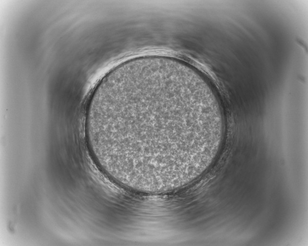 X0000101441504200807281011