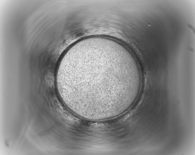 X0000101441505200807281011