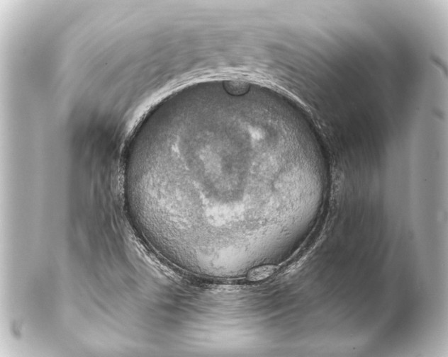 X0000101441506200807281011