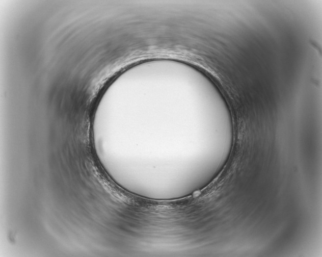 X0000101441507200807281011