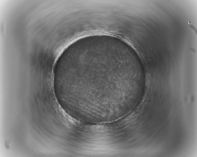 X0000101441508200807281011