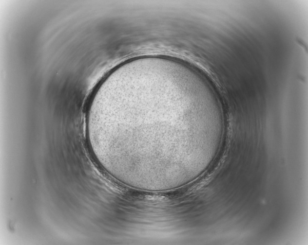 X0000101441509200807281011