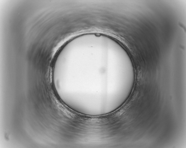 X0000101441510200807281011