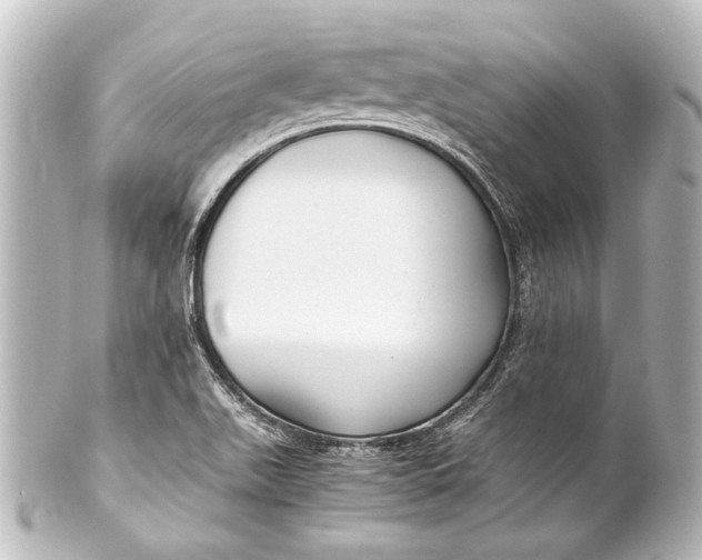 X0000101441511200807281011