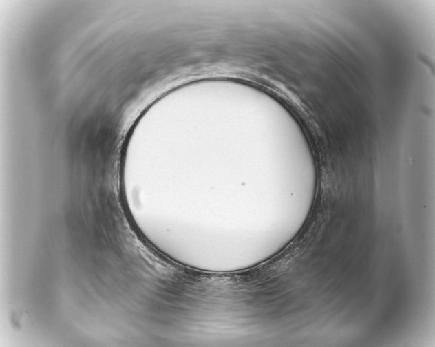 X0000101441512200807281011