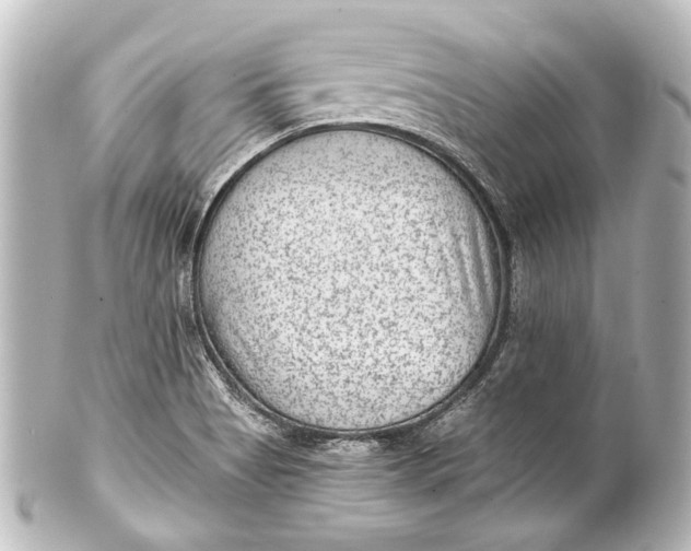 X0000101441513200807281011