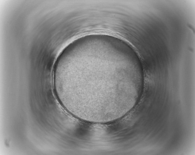 X0000101441514200807281011