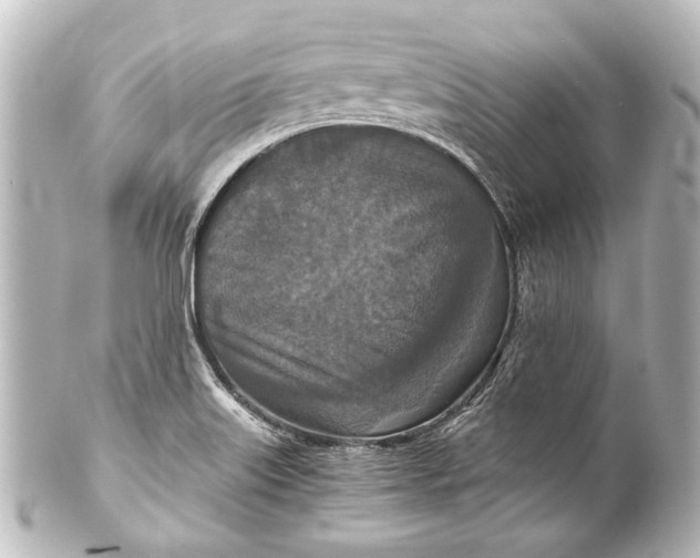 X0000101441515200807281011