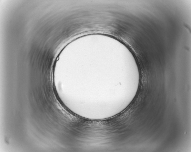 X0000101441516200807281011