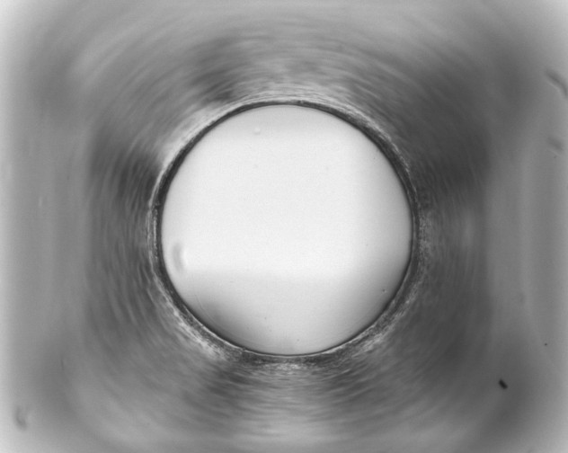 X0000101441517200807281011