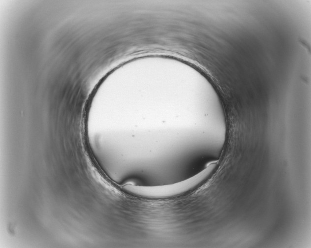 X0000101441518200807281011