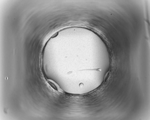 X0000101441520200807281011