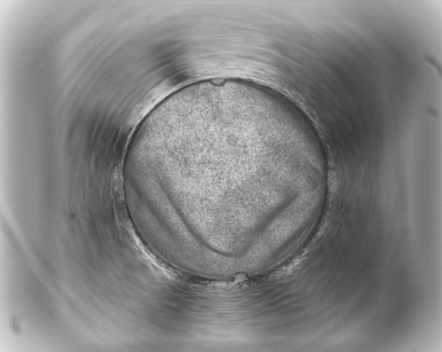 X0000101441521200807281011