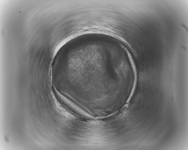 X0000101441522200807281011