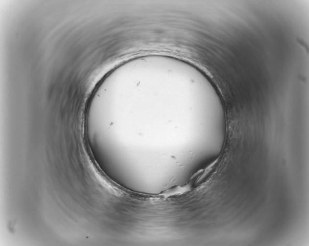 X0000101441523200807281011