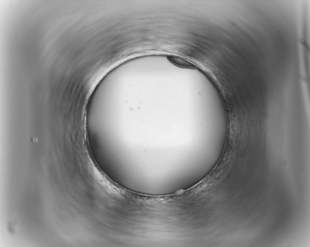 X0000101441524200807281011