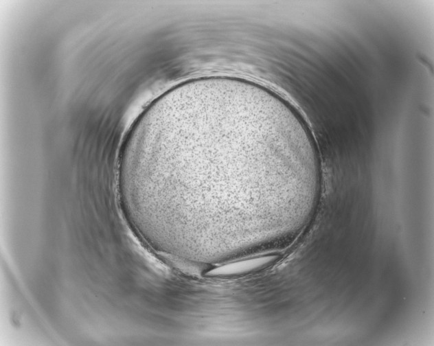 X0000101441525200807281011