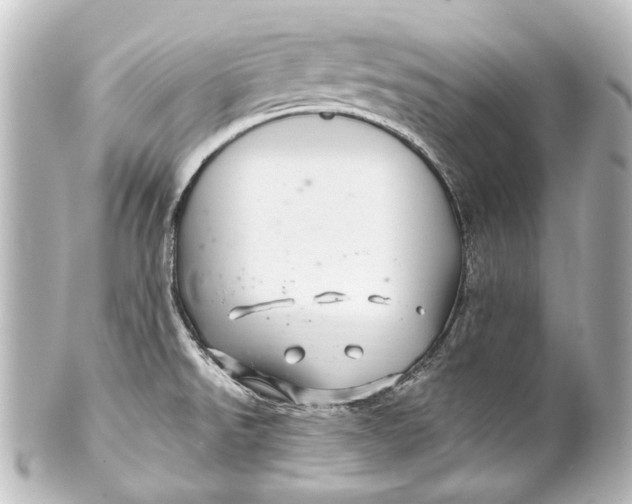 X0000101441526200807281011