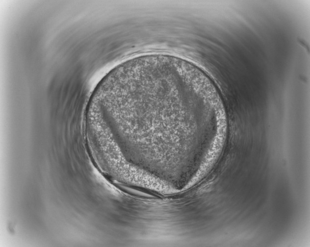 X0000101441527200807281011