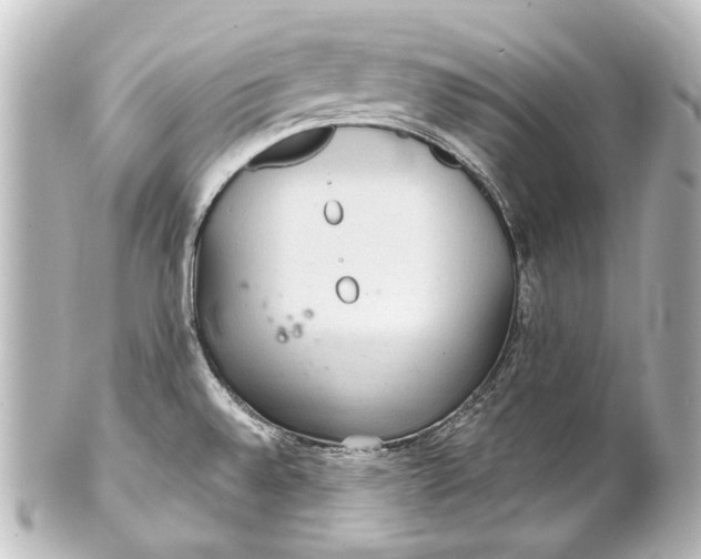 X0000101441528200807281011