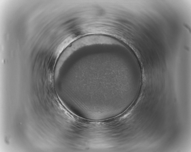 X0000101441529200807281011