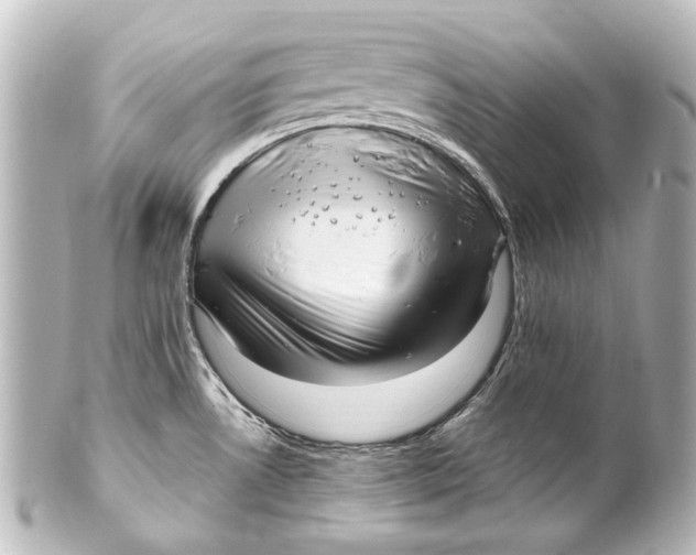 X0000101441530200807281011