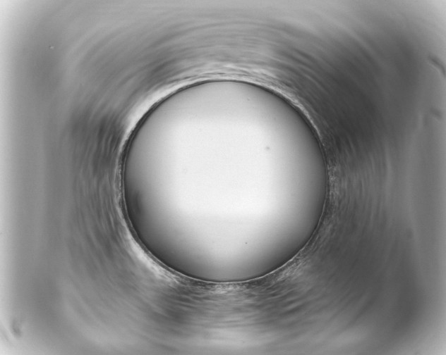 X0000101441531200807281011