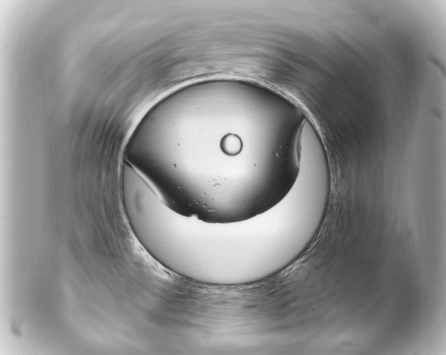 X0000101441532200807281011