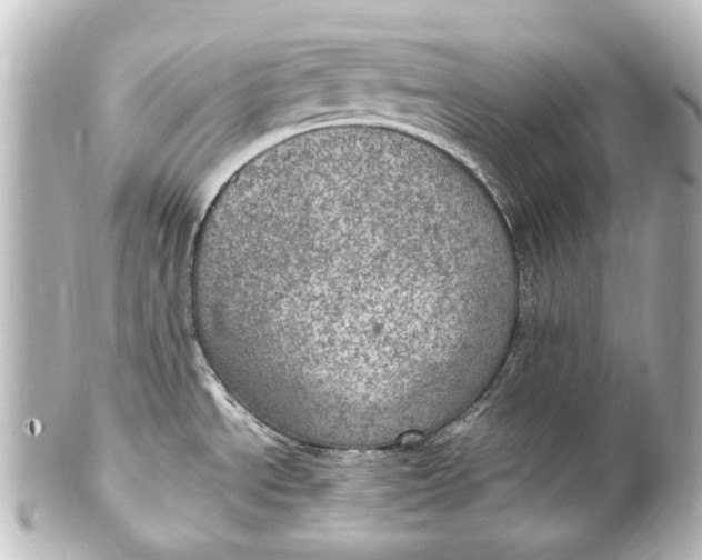 X0000101441534200807281011