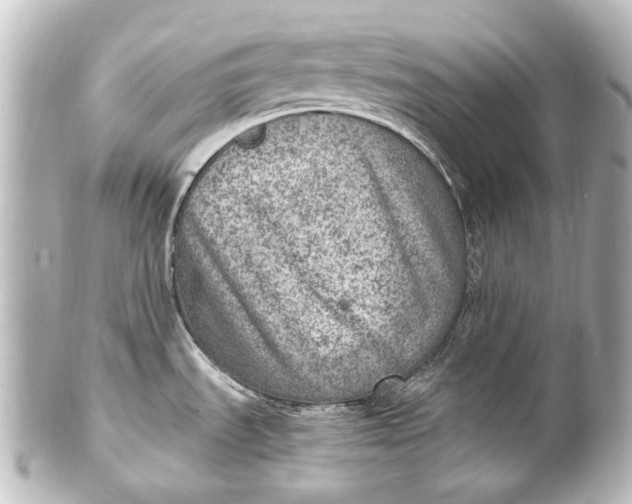 X0000101441535200807281011