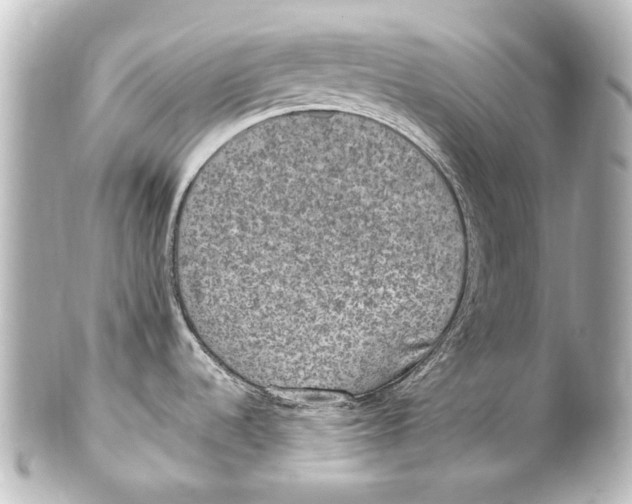 X0000101441536200807281011