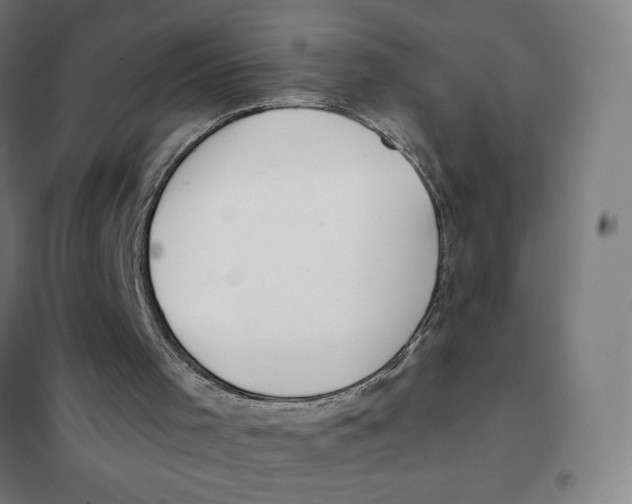 X0000101440001200808041225