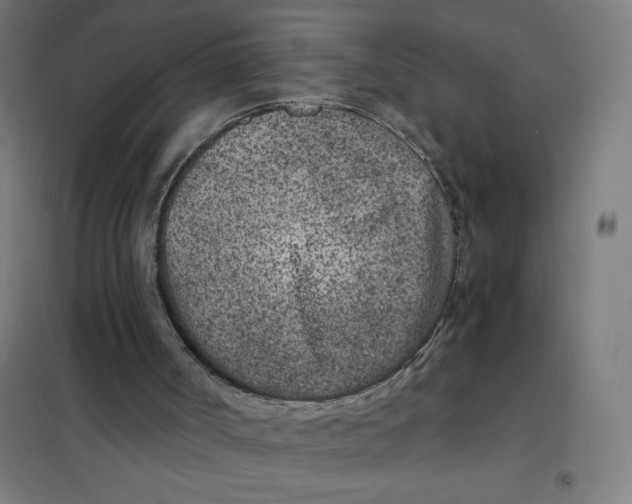 X0000101440002200808041225