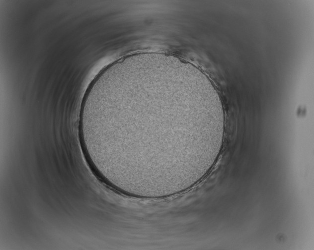 X0000101440003200808041225