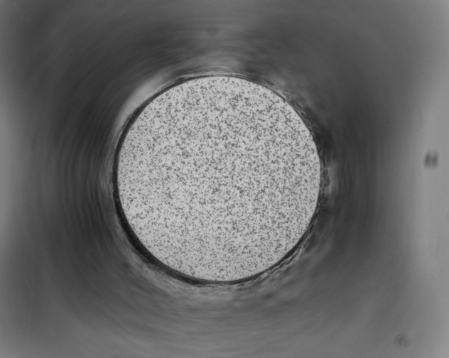 X0000101440004200808041225