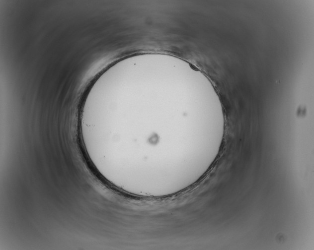 X0000101440005200808041225