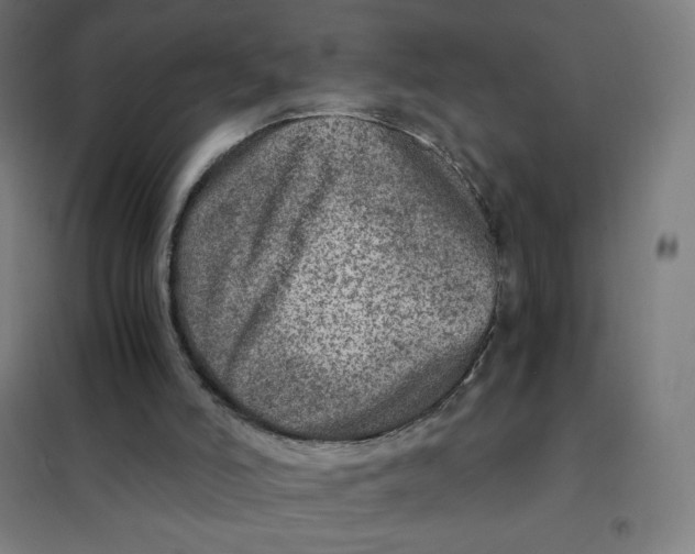 X0000101440006200808041225