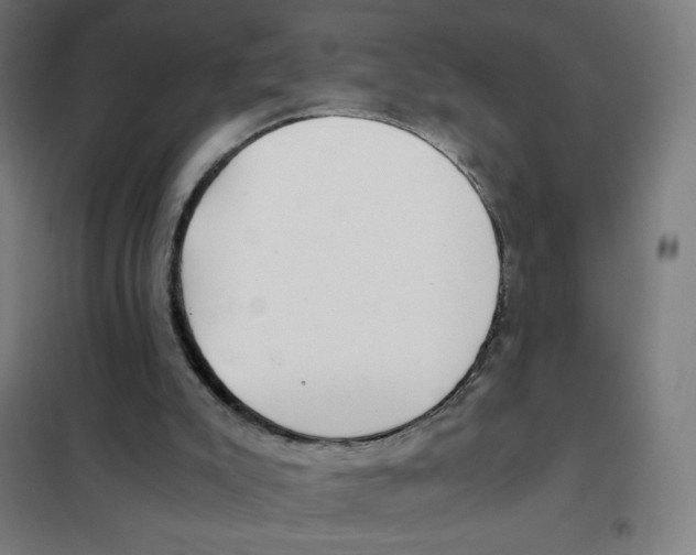 X0000101440007200808041225