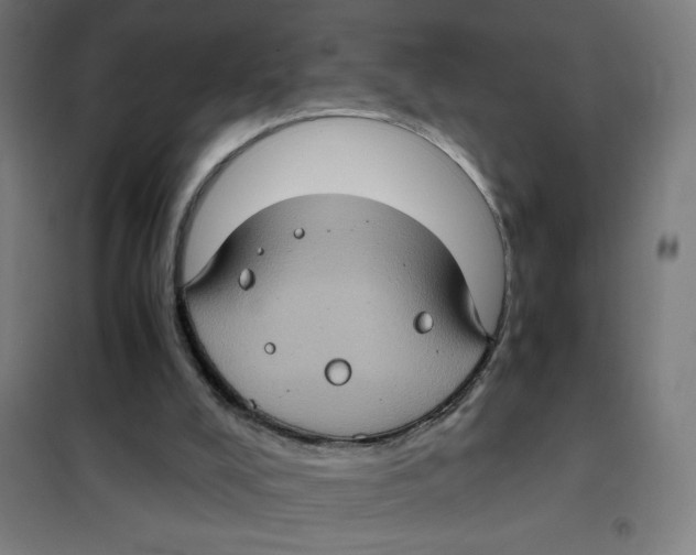 X0000101440008200808041225