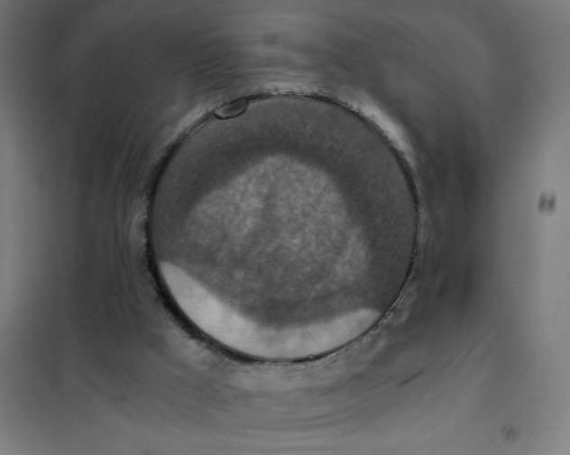 X0000101440009200808041225