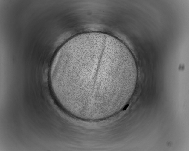 X0000101440010200808041225