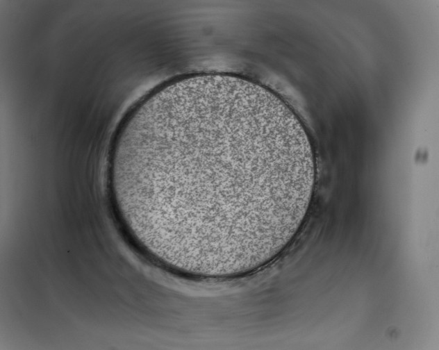 X0000101440012200808041225
