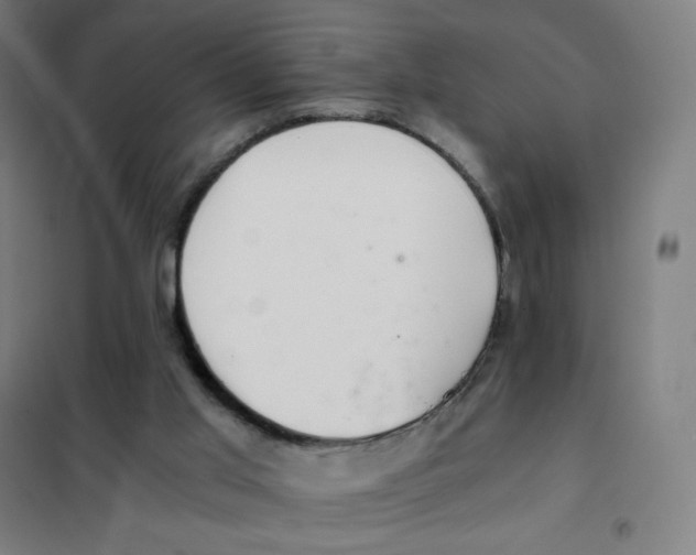 X0000101440013200808041225